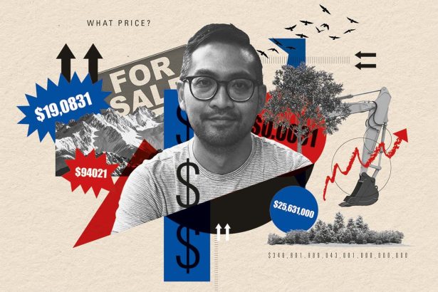 The failure of ecosystem services: Why putting a price tag on nature hasn’t worked