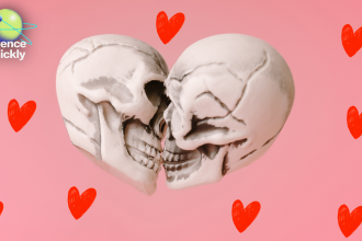 The story of the first kiss—21.5 million years ago