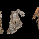The world’s oldest piece of clothing might be an Ice Age–era hide from Oregon