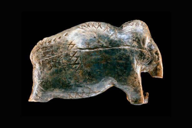 These 40,000-Year-Old Marks May Be a Precursor to Writing : ScienceAlert