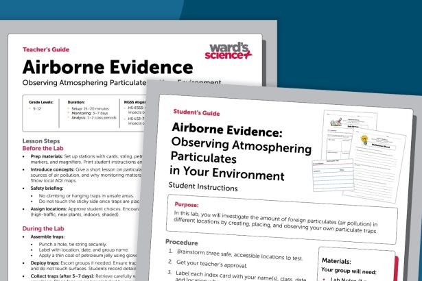 This Free Air Quality Experiment Reveals Air Pollution