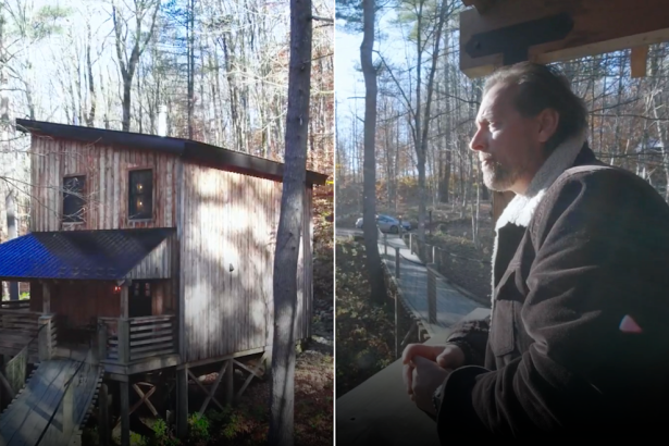This man built a treehouse, rents it out for up to 0 a night. How his unique idea became a successful side hustle