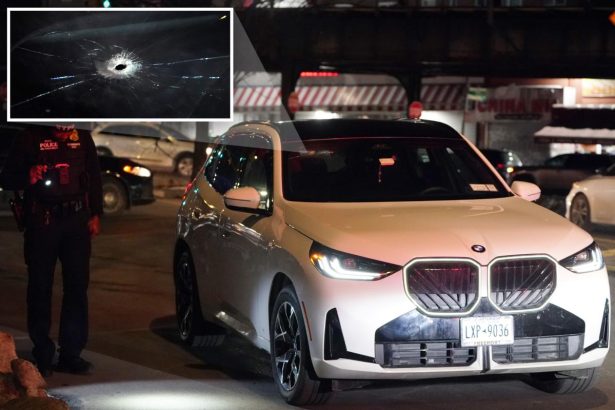 Trio busted for killing BMW driver in NYC ambush robbery that went awry: cops