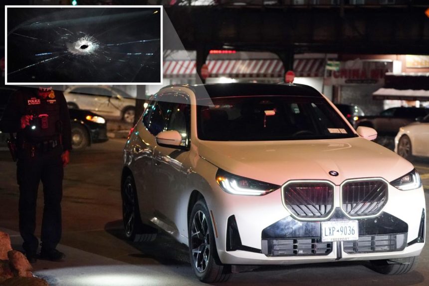 Trio busted for killing BMW driver in NYC ambush robbery that went awry: cops