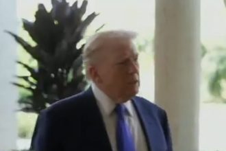 Trump Mentally Collapses After Democrats’ Shocking Win In Texas