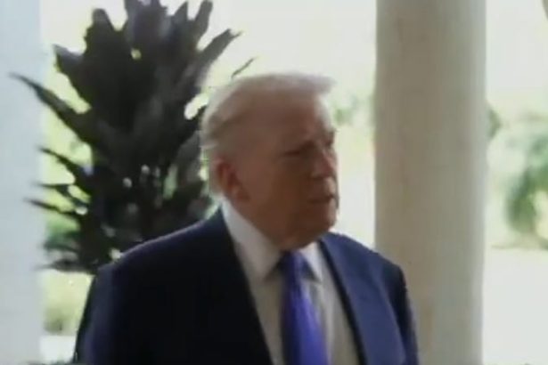 Trump Mentally Collapses After Democrats’ Shocking Win In Texas