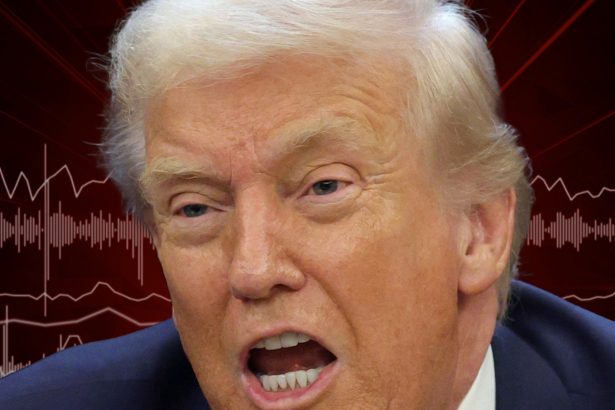 Trump Washes Hands of Racist Obama Video, Refuses to Apologize