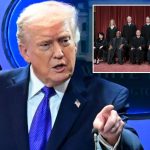 Trump calls Brett Kavanaugh his new hero after Supreme Court tariffs ruling