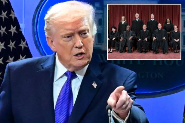 Trump calls Brett Kavanaugh his new hero after Supreme Court tariffs ruling