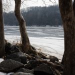 Trump fixates on sewage, a favored talking point, in fight with Wes Moore