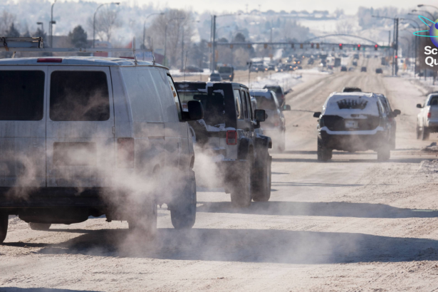 Trump rejects climate science, winter goes haywire, and ‘Penisgate’ rumors arise at the Olympics