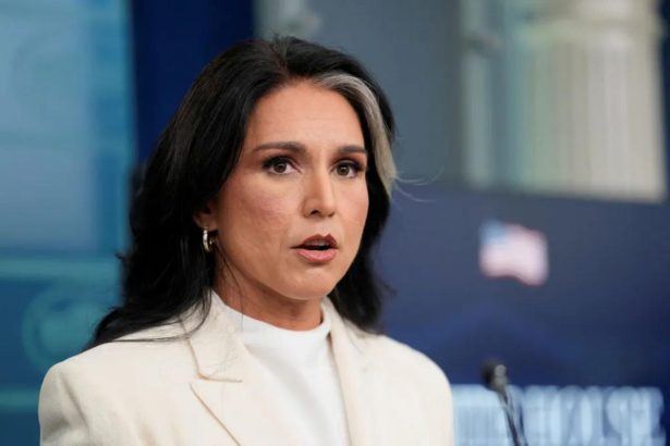 Tulsi Gabbard denies wrongdoing in National Intelligence whistleblower complaint