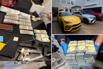Twenty-five stolen cars, 0,000 cash and guns