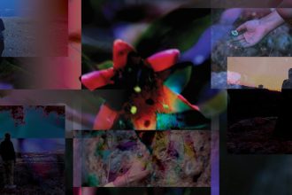 Until the Sun of Freedom