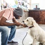 VCA CareClub® Plan review 2026