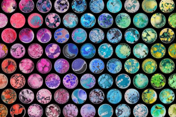 Wenting Zhu Cultivates a Kaleidoscopic Garden of Crystals in 100+ Petri Dishes — Colossal