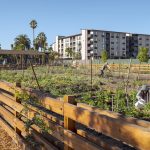 What happens when a neighborhood is built around a farm