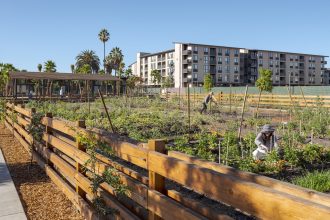 What happens when a neighborhood is built around a farm