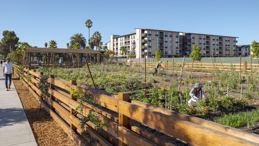 What happens when a neighborhood is built around a farm