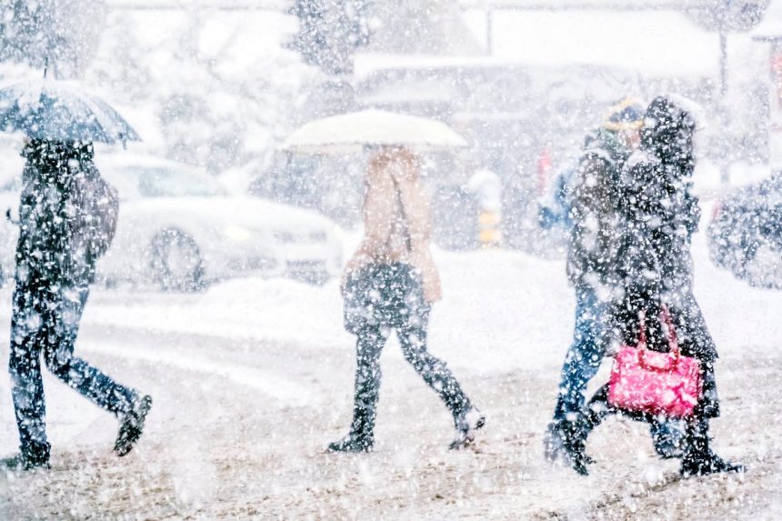 What is a blizzard? | Scientific American