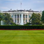 When Pigs Fly-Democratic Think Tanks Get Tough On Crime