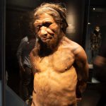 When we interbred with Neanderthals, they were usually the fathers
