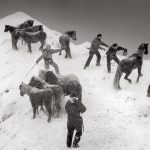 ‘Where the World is Melting’ Documents Communities Amid Indelible Changes in the Arctic — Colossal