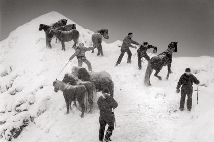 ‘Where the World is Melting’ Documents Communities Amid Indelible Changes in the Arctic — Colossal