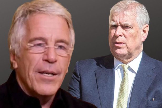 Why Jeffrey Epstein Branded Andrew Windsor Pimp And Fixer