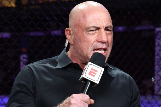 Why did Joe Rogan stop fighting? UFC commentator reflects on scary knockout that made him stop competing