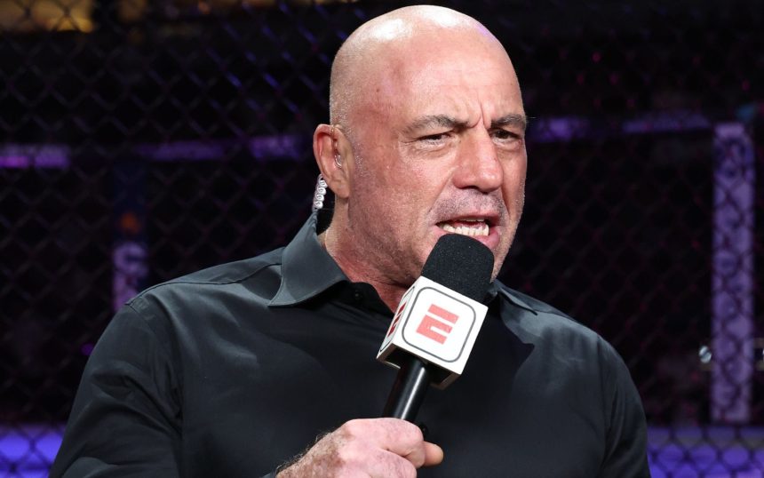 Why did Joe Rogan stop fighting? UFC commentator reflects on scary knockout that made him stop competing