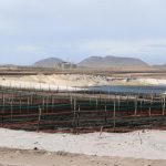 Will Rio Tinto leave Madagascar a toxic legacy?