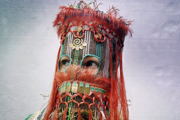 With Fringe Trim and Gilded Baubles, Damselfrau’s Masks Turn Disguise into Decadence — Colossal