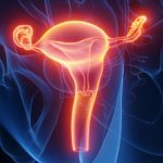 Woman Gives Birth After Womb Transplant From Deceased Donor : ScienceAlert