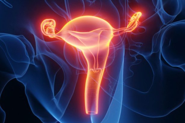 Woman Gives Birth After Womb Transplant From Deceased Donor : ScienceAlert