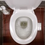 Would you pay  a month to drink recycled wastewater?