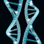 Your Genes May Influence Longevity More Than Ever Before. Here’s Why. : ScienceAlert