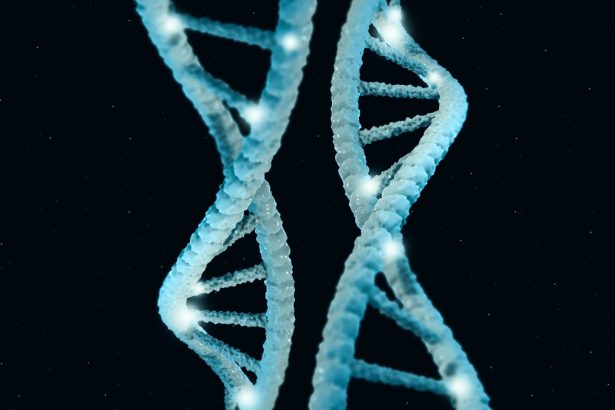 Your Genes May Influence Longevity More Than Ever Before. Here’s Why. : ScienceAlert