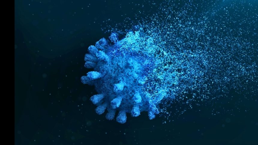 ‘Zombie’ Remnants of COVID-19 Hunt In Packs And Kill Our Immune Cells : ScienceAlert