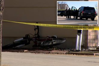 11-year-old boy to face murder charge for killing 5 y/o brother in cozy Colorado suburb