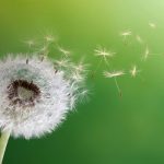 110 Quotes About Change on Growth, Tough Times and a New Beginning