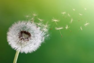 110 Quotes About Change on Growth, Tough Times and a New Beginning