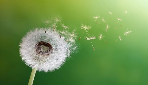 110 Quotes About Change on Growth, Tough Times and a New Beginning