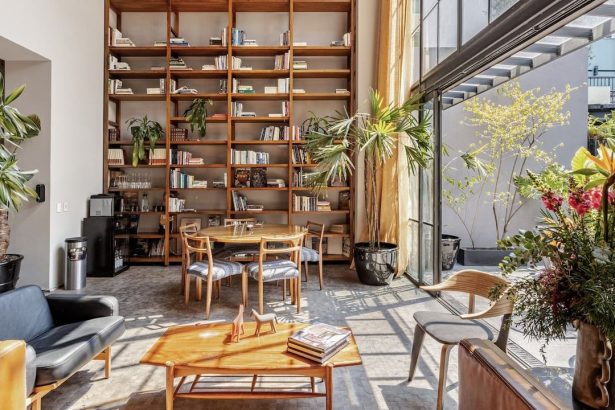 The 20 Best Airbnbs in Mexico City to Book for Your Next Getaway
