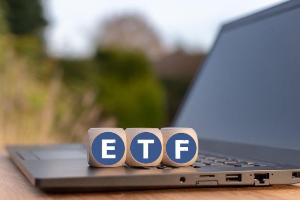 2 No-Brainer Vanguard ETFs I Would Invest in Right Now