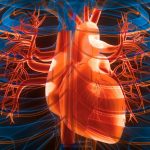 3 Simple Daily Changes Could Lower Your Risk of Heart Attack And Stroke : ScienceAlert