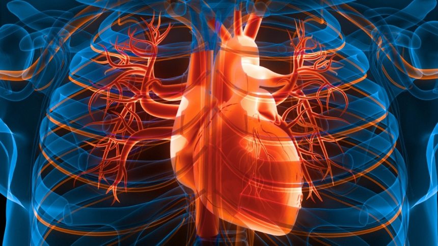 3 Simple Daily Changes Could Lower Your Risk of Heart Attack And Stroke : ScienceAlert