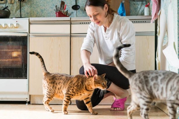 3 Ways Your Side Hustle Might Be Hurting Your Credit Without You Knowing It