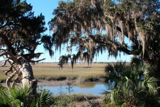 All About Cumberland Island, Where John F. Kennedy Jr. and Carolyn Bessette Got Married