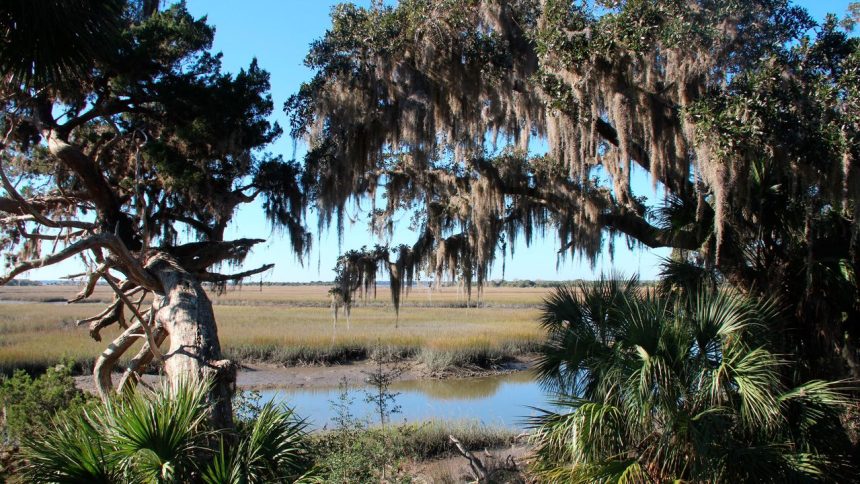 All About Cumberland Island, Where John F. Kennedy Jr. and Carolyn Bessette Got Married